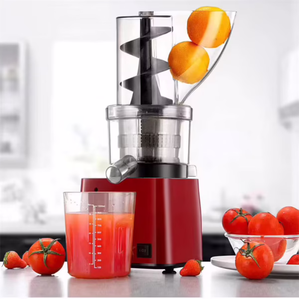 Cold Press Juicer